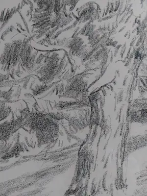 Jan Altink - Bosgezicht bij Garderen kopen? Bied vanaf 220!