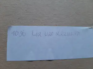 Lia van Leeuwen - Kleuren ets, Voor elkaar kopen? Bied vanaf 40!