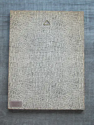 Anton Pieck - Molen "De Speelman" te Overschie kopen? Bied vanaf 95!