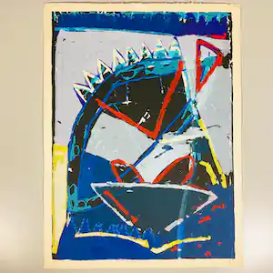 Piet Warffemius - en Bert Vredegoor verkauft für € 35!