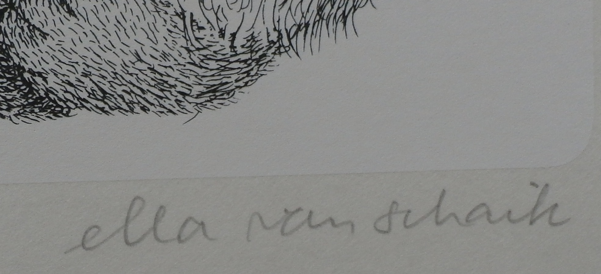 Ella van Schaik - zeefdruk: poes (3 afbeeldingen) kopen? Bied vanaf 45!