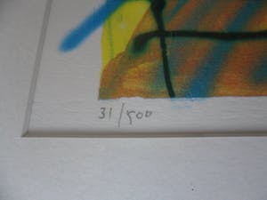 Herman Brood - Zeefdruk . "Arena (Ajax)" gesigneerd - 500 ex - ingelijst kopen? Bied vanaf 235!