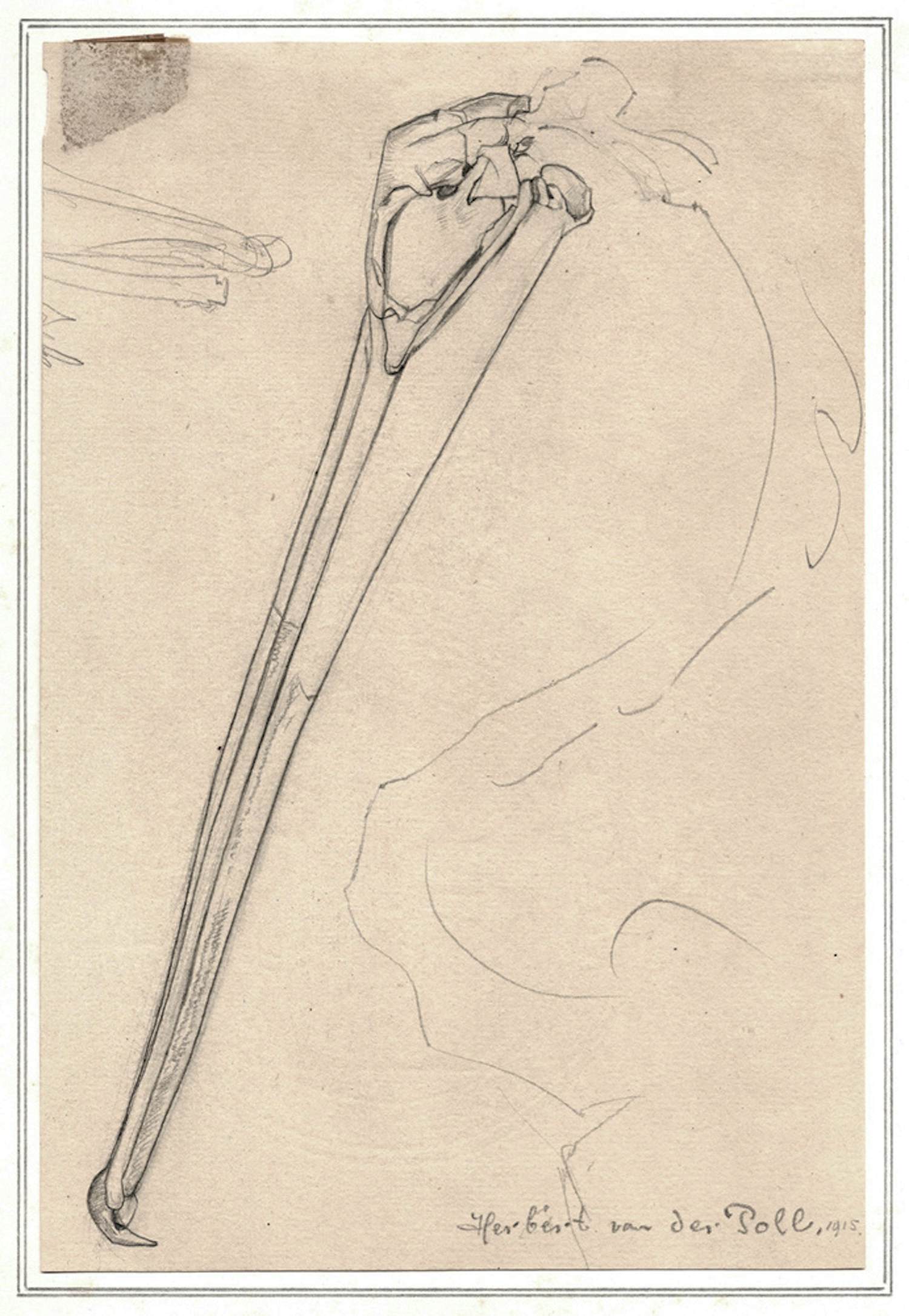 Herbert van der Poll - Studie (1915) kopen? Bied vanaf 40!