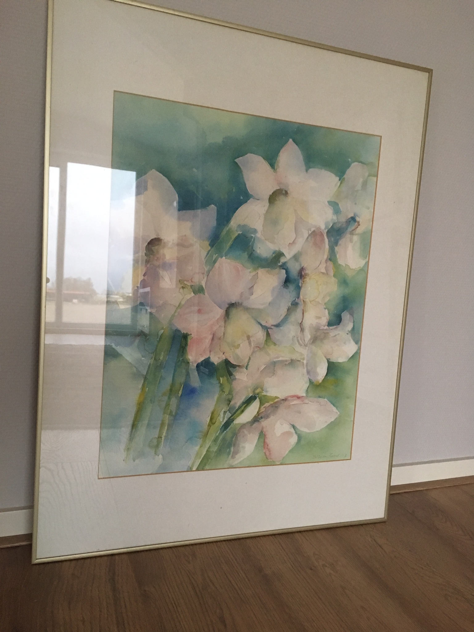 Willie van Haard - Amaryllis kopen? Bied vanaf 200!