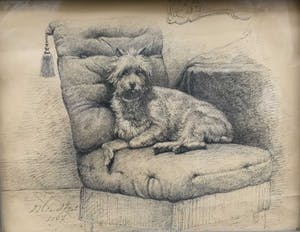 Niet of onleesbaar gesigneerd - C2510 - Hondenportret kopen? Bied vanaf 1!