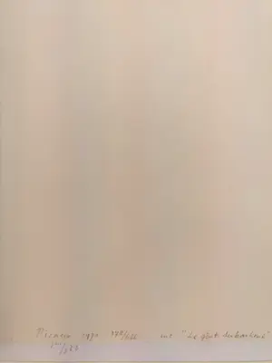 Pablo Picasso - La Gôut de Bonheur kopen? Bied vanaf 1!