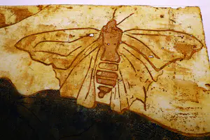 Hans Buining - in zeer kleine oplage (20) gemaakte Ets & Aquatint "Vlinder in travertin" kopen? Bied vanaf 26!