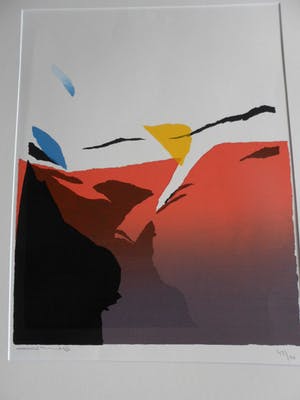 Gerard 't Hart - Zeefdruk. Getiteld "Abstract Kleuren". kopen? Bied vanaf 30!