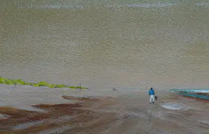 Franklin Meijer - Strand - Noord-Holland - Man met hond kopen? Bied vanaf 49!
