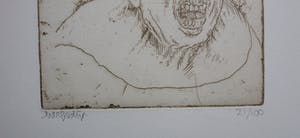 Herman Gordijn - ets en boek, luxe editie: binnenste buiten - 2009 kopen? Bied vanaf 175!