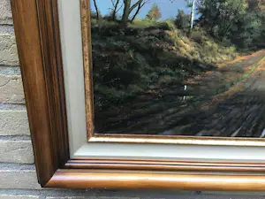 Onbekend - Hollands platteland kopen? Bied vanaf 50!