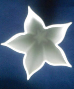 Hutschenreuther - Stervaas kopen? Bied vanaf 17!