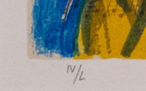Corneille - Roter Vogel auf Musikpapier kopen? Bied vanaf 150!