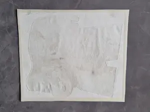 Pieter Zwaanswijk - Monochrome E.A. reliëf ets en aquatint "Flossie" - potloodgesigneerd kopen? Bied vanaf 38!