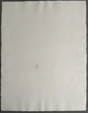 Jeanne Bieruma Oosting - het nest - gesigneerde ets kopen? Bied vanaf 399!