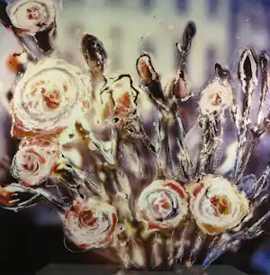 Koen Blanckaert - Foto op dibond, Flowers vendu pour 80€ !