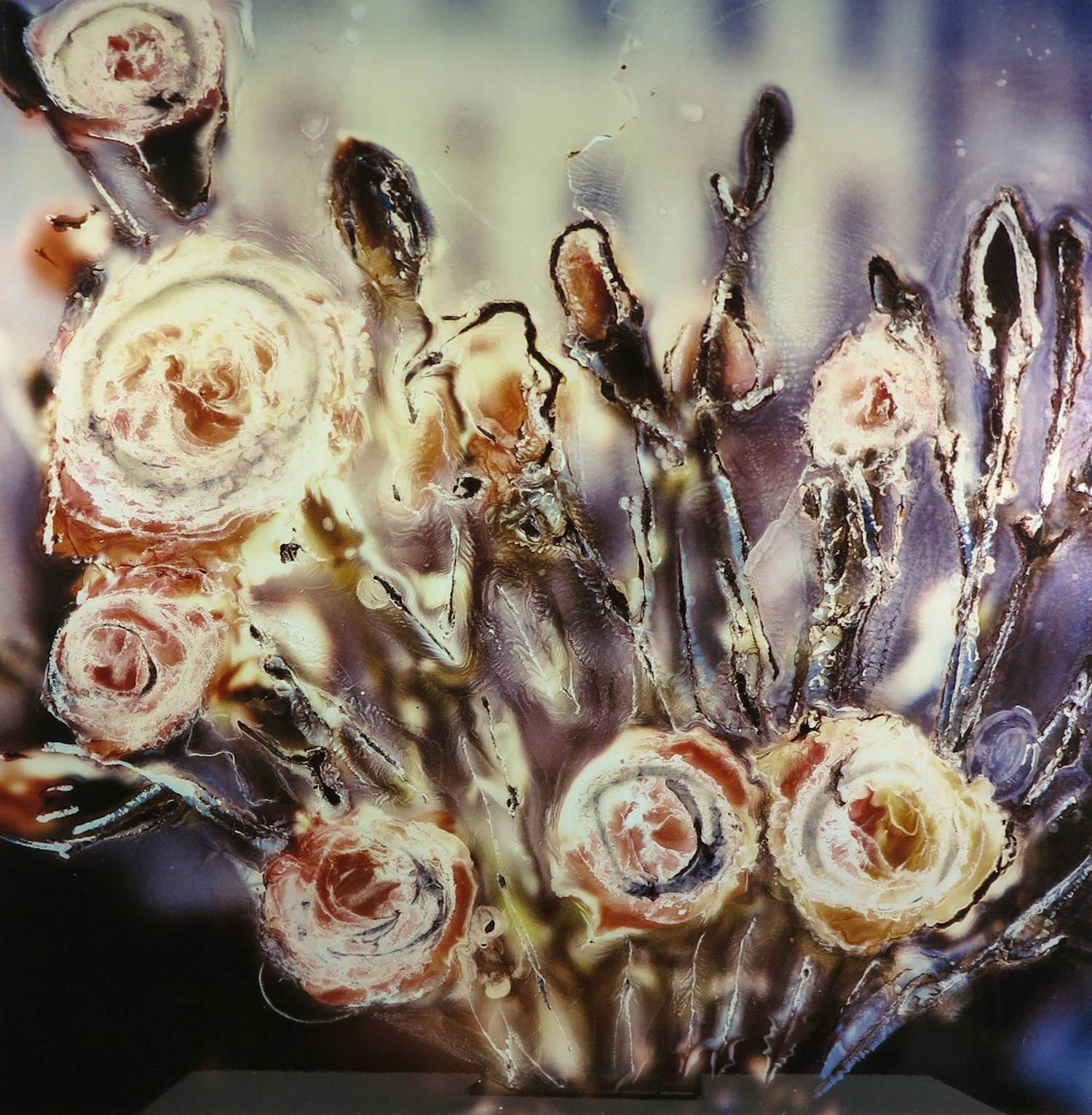Koen Blanckaert - Foto op dibond, Flowers verkocht voor € 80!