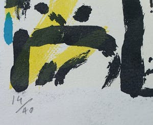 Dominique Chan - kleurenlitho kopen? Bied vanaf 35!