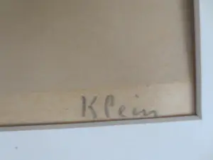 Frits Klein - Circuspaarden kopen? Bied vanaf 150!