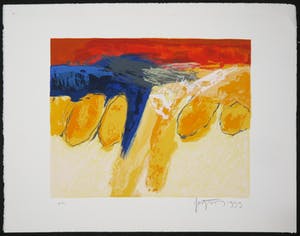 Robbert Fortgens - Zeefdruk, Voorjaar kopen? Bied vanaf 1!