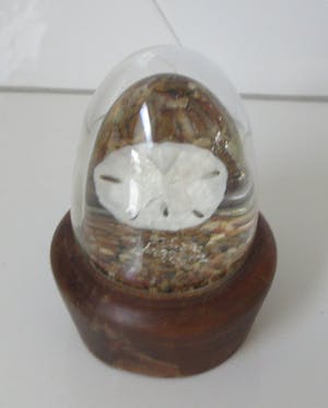 Niet of onleesbaar gesigneerd - Zoologisch object op sterk water als presse papier - Rodelco Gems - Vinkeveen kopen? Bied vanaf 1!