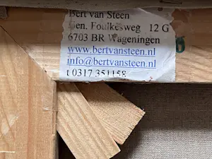 Bert van Steen - ZONDER TITEL kopen? Bied vanaf 249!