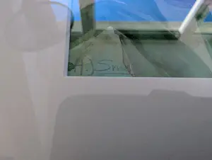 Alberta Johanna Meijer-Smetz - TULPEN IN VOLLE BLOEI kopen? Bied vanaf 20!