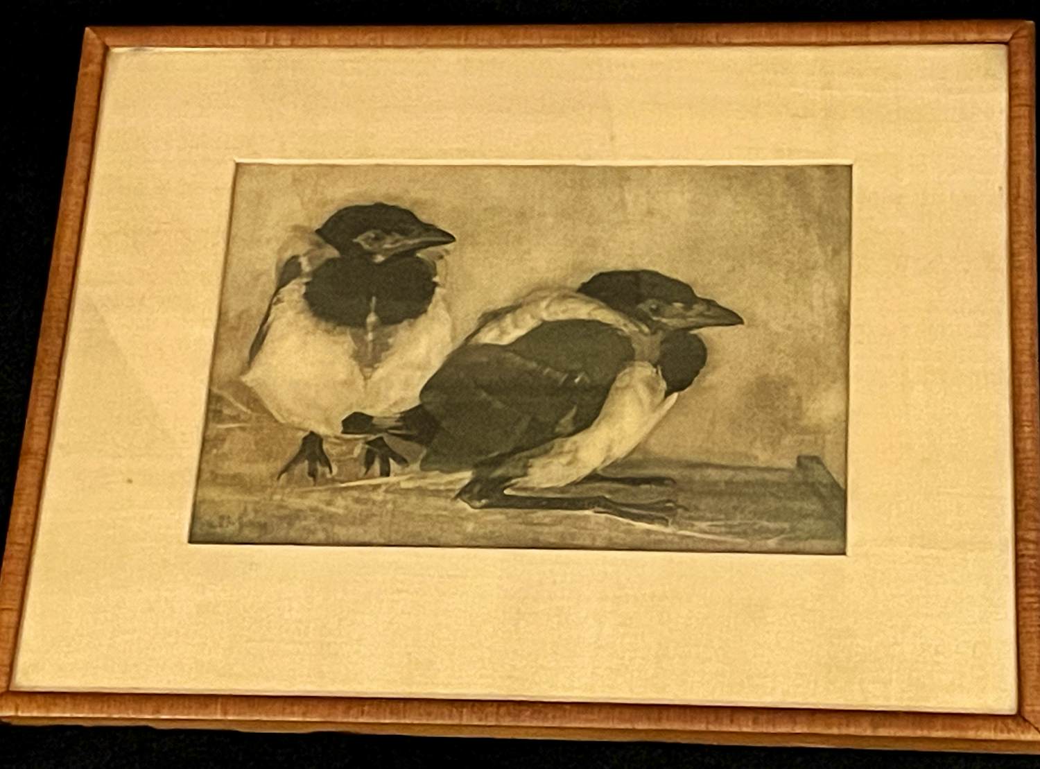 Jan Mankes - Twee jonge eksters kopen? Bied vanaf 185!