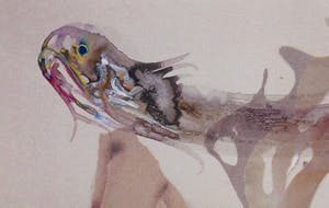 Marc Mulders - "Tom Ford for men" kopen? Bied vanaf 250!