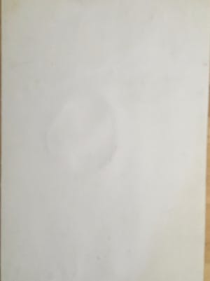 Peter Vos - Boomman kopen? Bied vanaf 80!