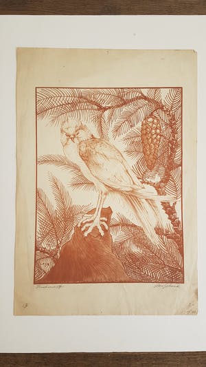 Jan Schonk - Lot van 7 prenten, 5x handgesigneerd kopen? Bied vanaf 150!