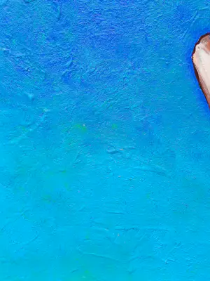 Ella Joosten - Flying fish two kopen? Bied vanaf 250!