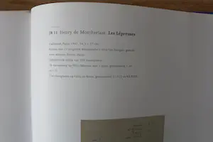 Kees van Dongen - Roman met 25 originele kleuren litho's: Les Le Lepreuses - 1947 kopen? Bied vanaf 1150!