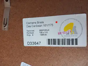 Clemens Briels - Des Carebean kopen? Bied vanaf 225!