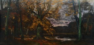 Egbert Schaap - Bosvijver in hersttooi kopen? Bied vanaf 50!