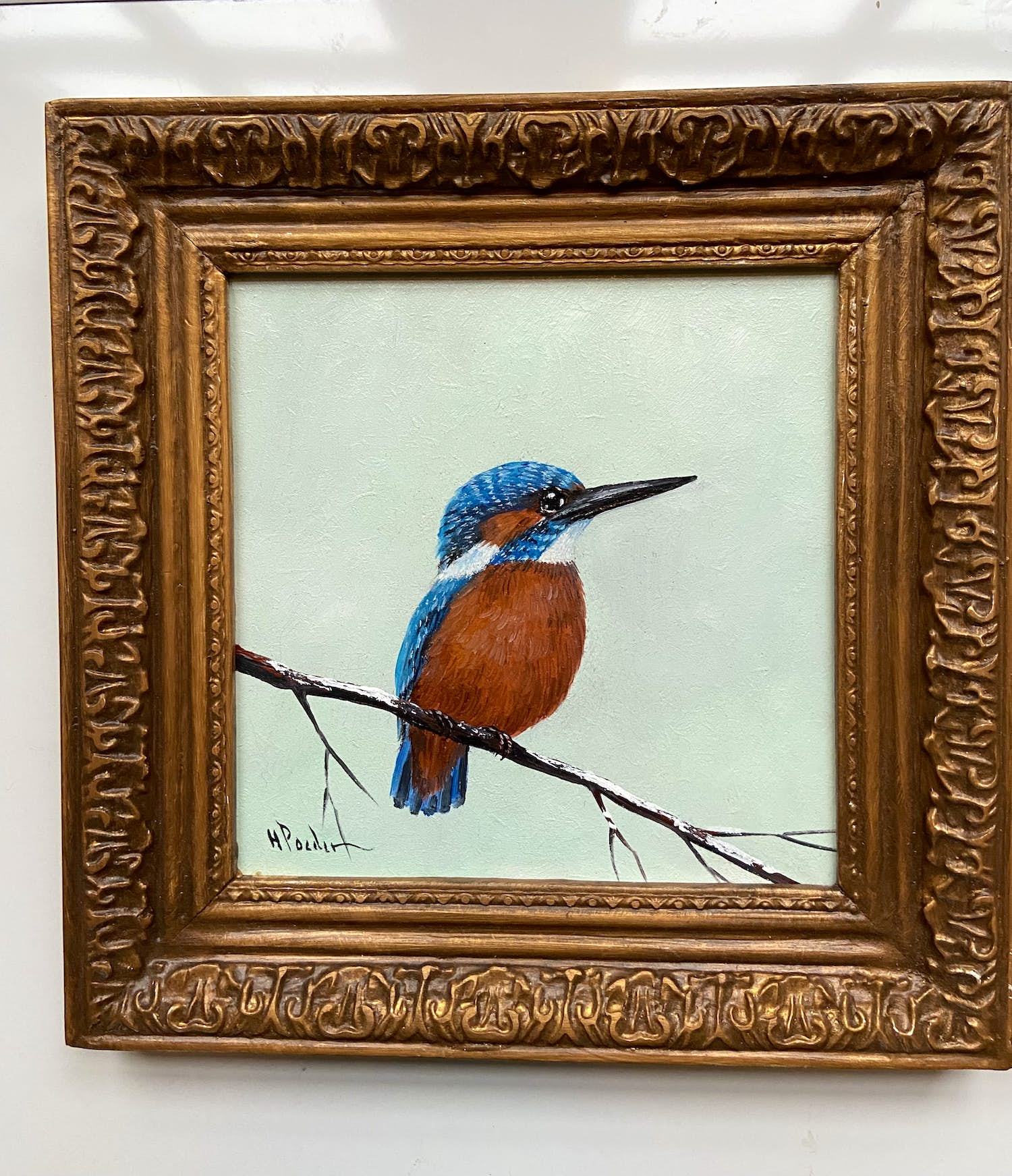 Henk Poeder - Vogel verkocht voor € 99!