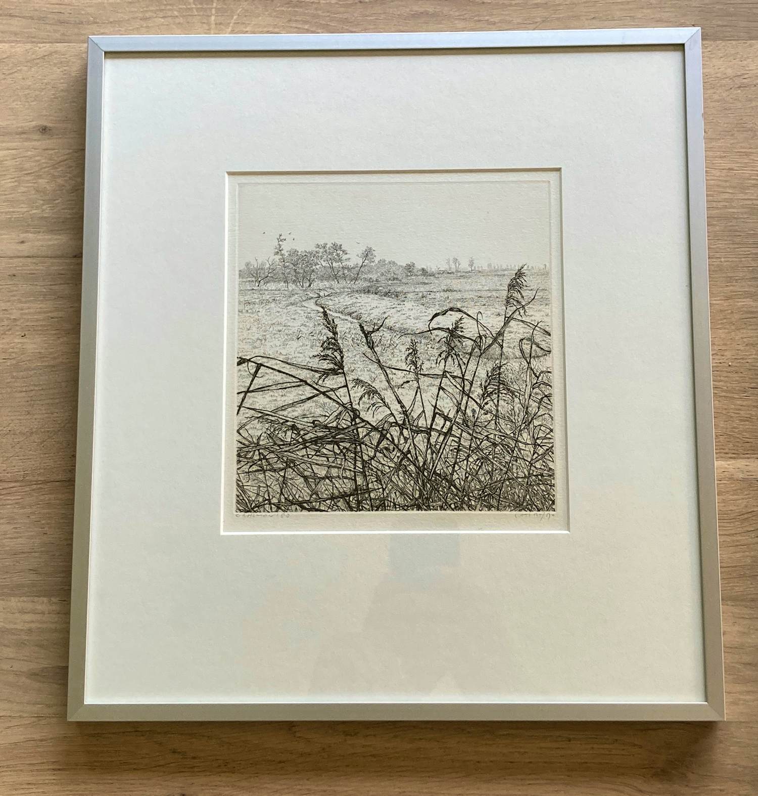 Reinder Homan - Ets, Landschap met riet in de polder ‘88 kopen? Bied vanaf 65!