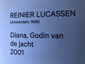 Reinier Lucassen - Diana, godin van de jacht kopen? Bied vanaf 1450!