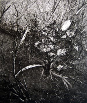 Reinder Homan - Zonder titel kopen? Bied vanaf 75!