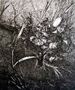 Reinder Homan - Zonder titel verkocht voor € 75!