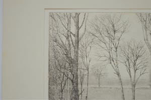 Charles Donker - Winterlanschap in Rhijnauwen, snel dalende kauwen kopen? Bied vanaf 200!