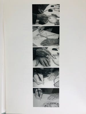 Roger Raveel - Felix vulgaris nr.3 kopen? Bied vanaf 645!