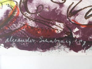 Alexander Schabracq - Zeefdruk, The fury of the almighty kopen? Bied vanaf 25!