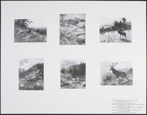 Martin Warnke - Ohne Titel, 1995 kopen? Bied vanaf 1!