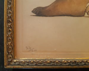 Roger Hebbelinck - 2 x Naakt kopen? Bied vanaf 100!