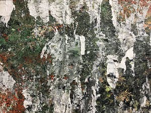 Niet of onleesbaar gesigneerd - Geen titel. kopen? Bied vanaf 1!