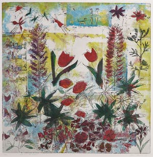 Lia van Leeuwen - Kleurenets, Ode aan de lupinus kopen? Bied vanaf 10!