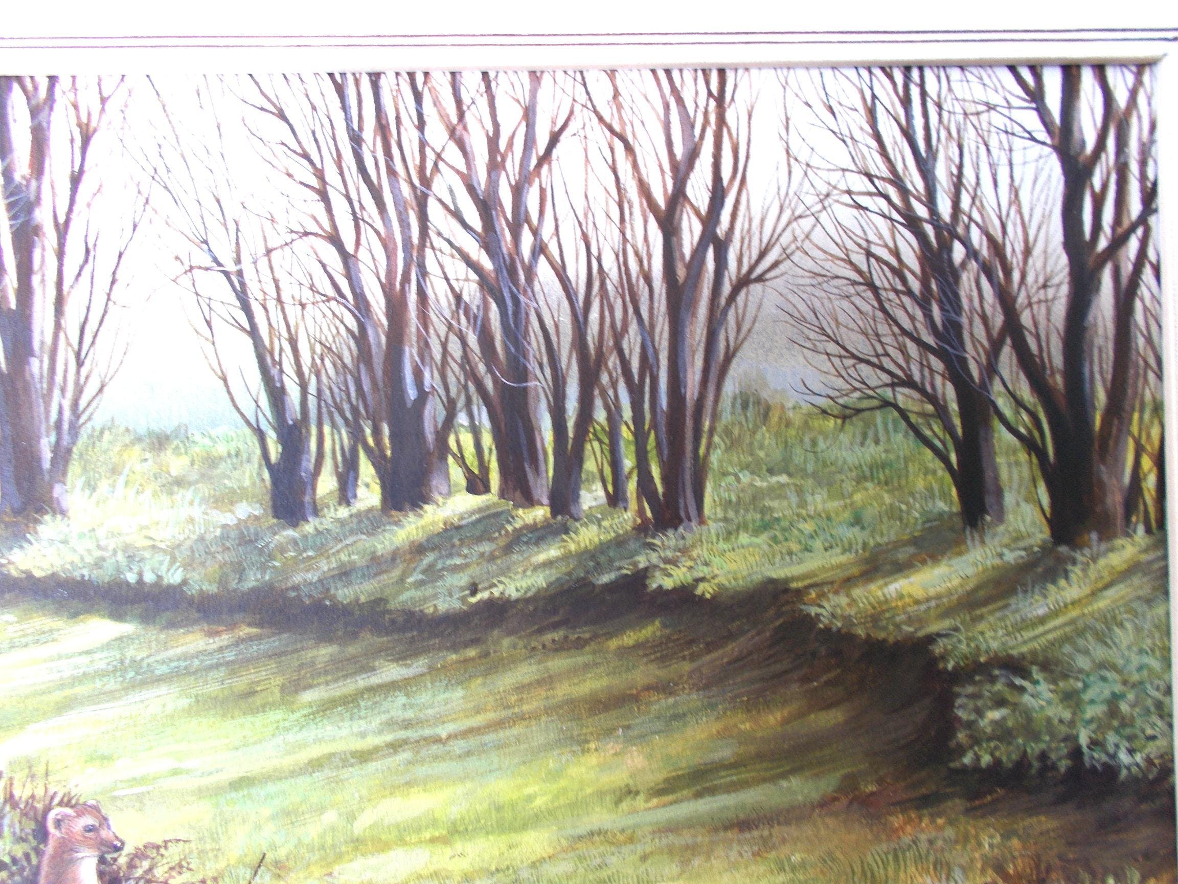 Ari Stolk - Boommarter in de Scheelhoek kopen? Bied vanaf 75!