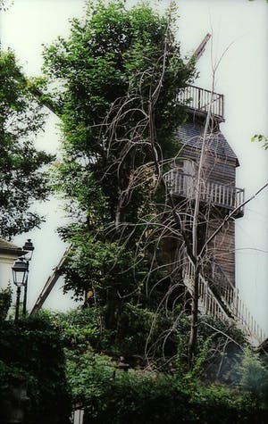 Paul Huf - Foto, Boomhut - Ingelijst kopen? Bied vanaf 1!