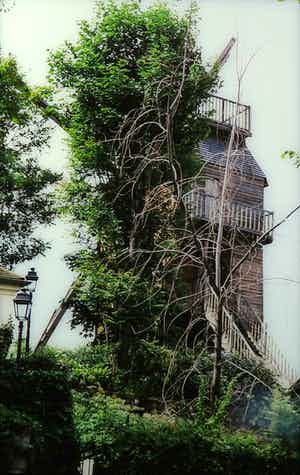 Paul Huf - Foto, Boomhut - Ingelijst verkocht voor € 1!